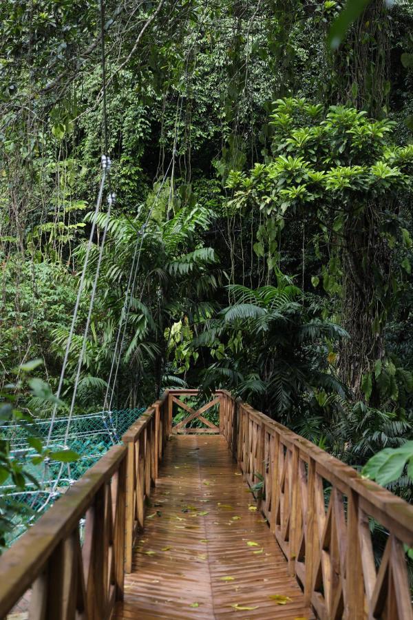 Jade Jungle Resort Teakettle Village Extérieur photo