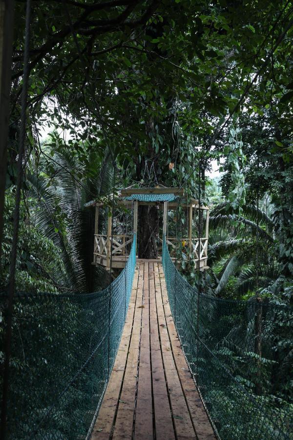 Jade Jungle Resort Teakettle Village Extérieur photo